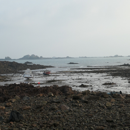 L1000602.JPG